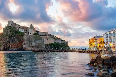 Network Forio Ischia 4 Stelle Promo Random Completa Con Bevande